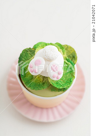 Easter bunny cupcake 21042071