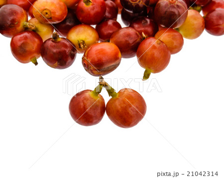 fresh coffee beans on white background 21042314
