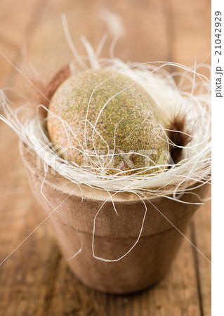 Natural Easter egg 21042929