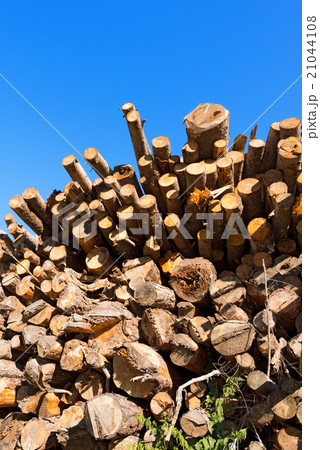 Wooden Logs and Branches on Blue Sky 21044108
