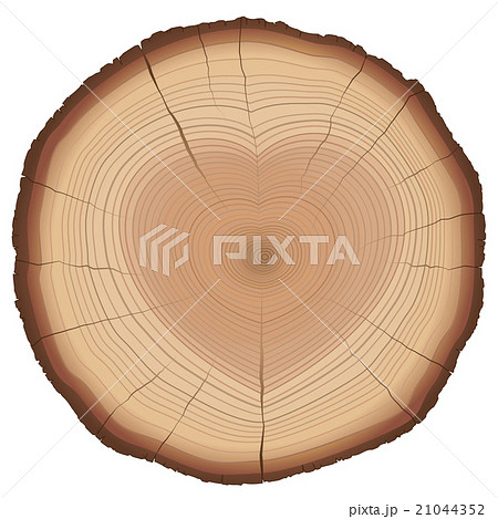 Annual Rings Heart Shaped Nature Love Symbol 21044352