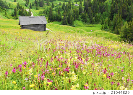 コルヴァーラ corvara  コルヴァーラ corvara in badia コルヴァーラ corvara  コルヴァーラ corvara in badia 21044829