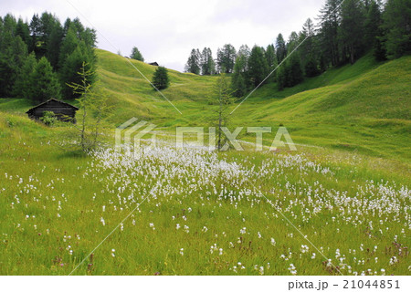 サンタ・クローチェ　santa　croce 21044851