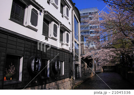 高瀬川沿いのモダンな和建物と桜 高瀬川沿いのモダンな和建物と桜 21045336