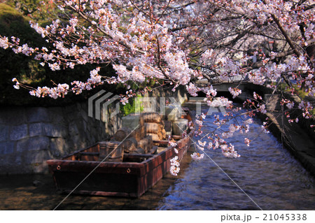 桜が咲き乱れる一之船入跡の春 21045338