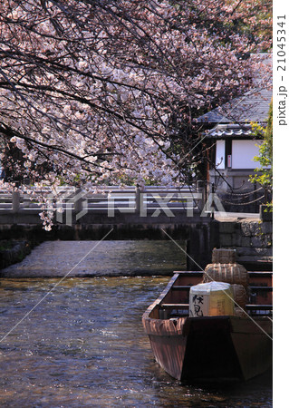 桜が咲き乱れる一之船入跡の春 21045341