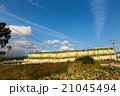 箱根大根で干大根 21045494