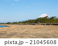 沼津から見た富士山 21045608