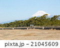 沼津から見た富士山 21045609