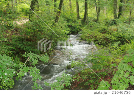 川のせせらぎ 21046756