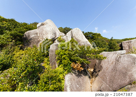 高知県土佐清水市　唐人駄場遺跡『唐人石巨石群』 21047387