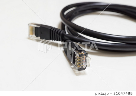 LANケーブル 21047499
