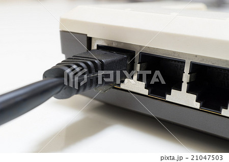 LANケーブル 21047503