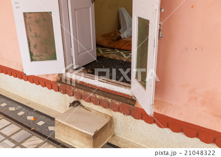 rat temple, BIkaner 21048322
