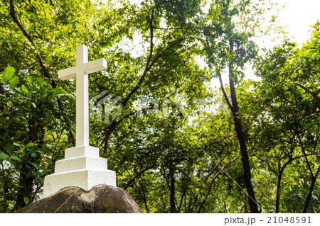 Christian cross crucifix structure within greenery Christian cross crucifix structure within greenery 21048591