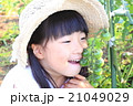 家庭菜園をする女の子 21049029