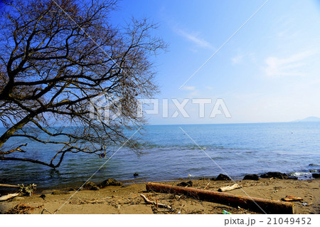 湖畔の風景 21049452