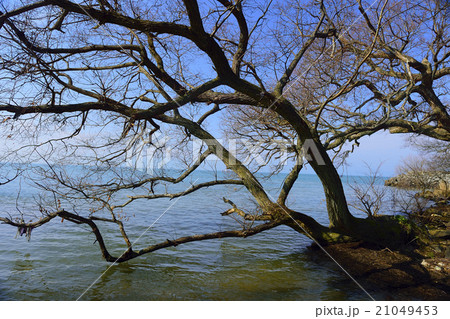 湖畔の風景 湖畔の風景 21049453