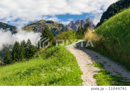 Panorama of Fassa Valley 21049791