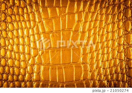 Old Grunge Leather Background Or Texture Old Grunge Leather Background Or Texture 21050274