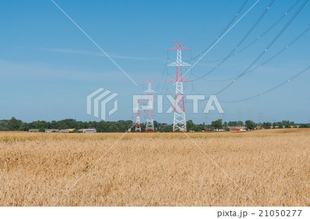 Pylon and transmission power line 21050277