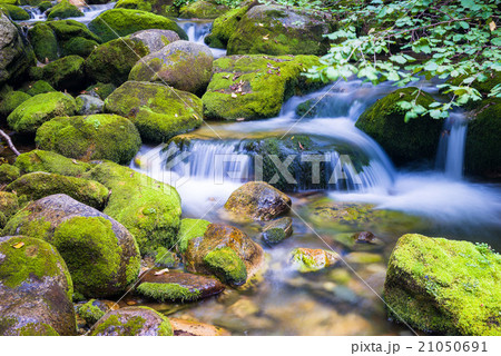 Creek in the Ligurian Alps Creek in the Ligurian Alps 21050691