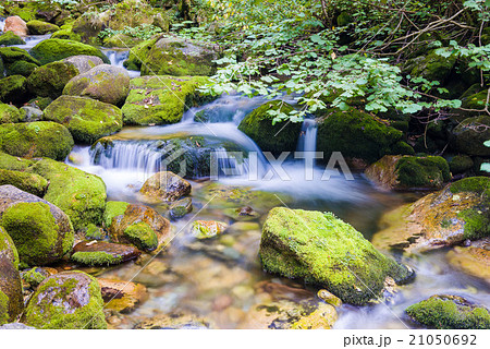 Creek in the Ligurian Alps Creek in the Ligurian Alps 21050692