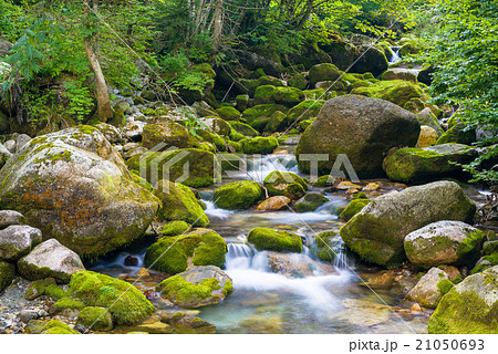 Creek in the Ligurian Alps Creek in the Ligurian Alps 21050693
