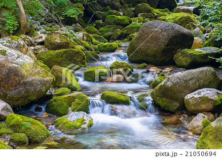 Creek in the Ligurian Alps Creek in the Ligurian Alps 21050694