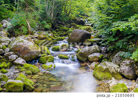 Creek in the Ligurian Alps Creek in the Ligurian Alps 21050695