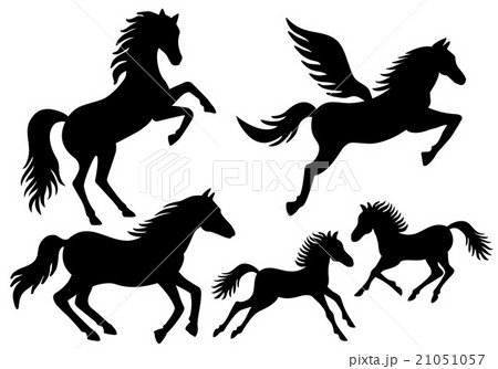 Horse silhouettes, vector Horse silhouettes, vector 21051057