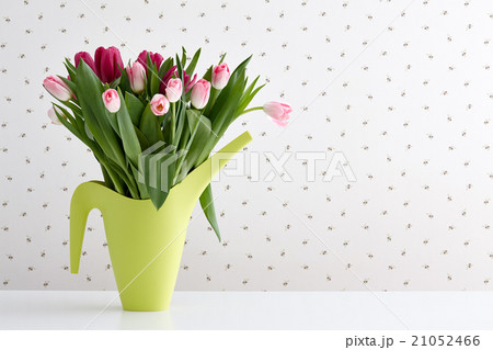 Spring tulips in a watering can 21052466