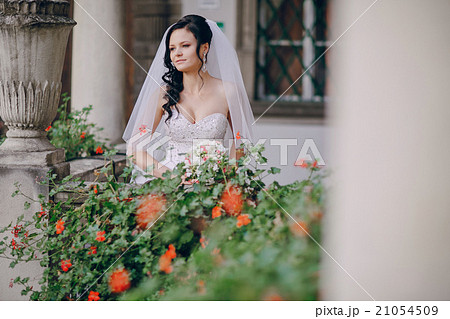 wedding day HD wedding day HD 21054509