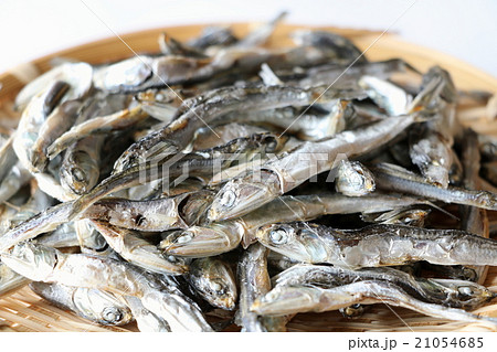 にぼし（かたくちいわし） 21054685