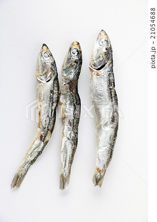 にぼし（かたくちいわし） 21054688