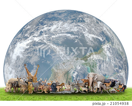 animal of the world with planet earth 21054938