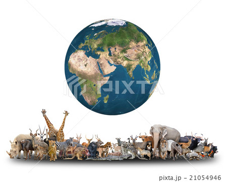 animal of the world with planet earth animal of the world with planet earth 21054946