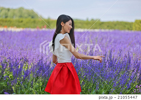 観光地 北海道富良野ラベンダー花畑と女性モデルの写真素材