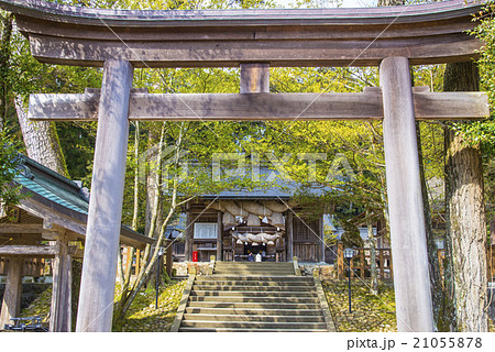 熊野大社参道 21055878