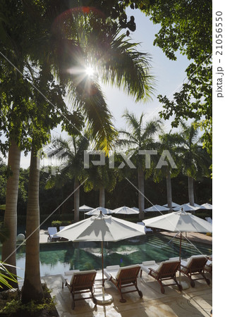 リゾートホテルのプール 21056550