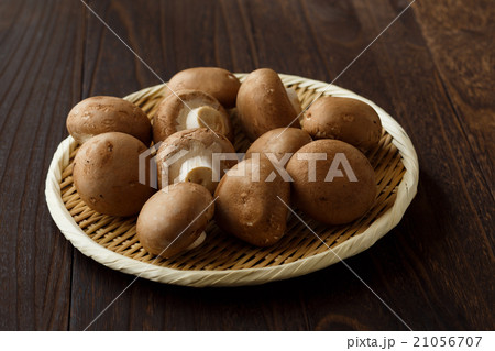 ブラウンマッシュルーム 21056707