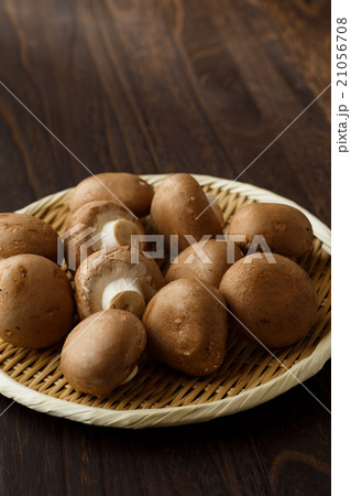 ブラウンマッシュルーム ブラウンマッシュルーム 21056708