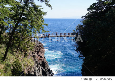 2月東伊豆21城ヶ崎海岸･門脇吊橋 21056785