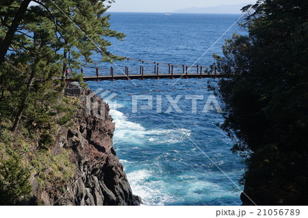 2月東伊豆25城ヶ崎海岸・門脇吊橋 2月東伊豆25城ヶ崎海岸・門脇吊橋 21056789