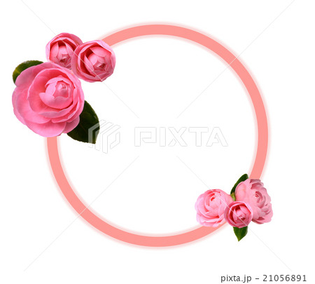 乙女椿の花のフレーム（日本の伝統色の薄紅枠、紅梅色光彩） 21056891