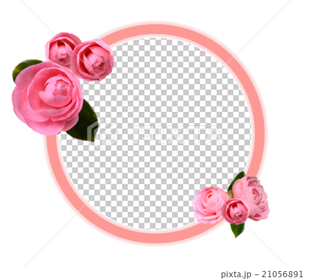 乙女椿の花のフレーム（日本の伝統色の薄紅枠、紅梅色光彩） 21056891