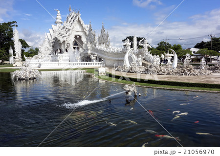 Fishes of White Temple, Chiang Rai Thailand 21056970