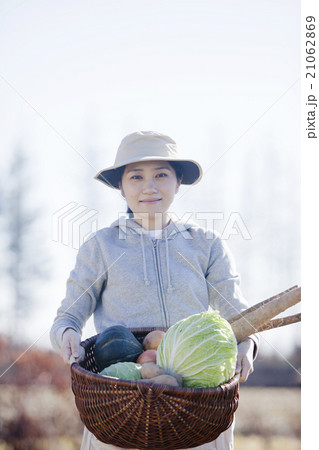 秋野菜 収穫 秋野菜 収穫 21062869