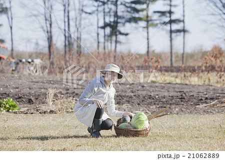 秋野菜　収穫 21062889