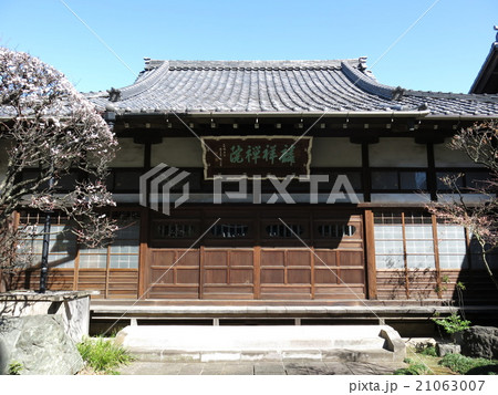 白梅が彩りを添える早春の麟祥院(本堂) 白梅が彩りを添える早春の麟祥院(本堂) 21063007